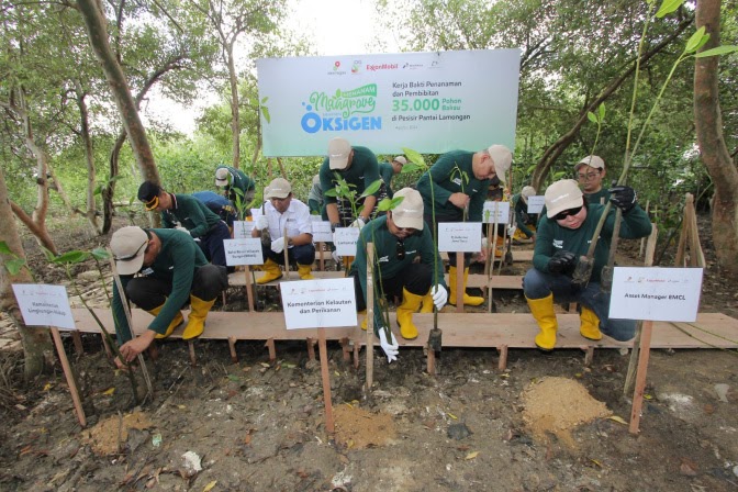 SKK Migas – EMCL Bersama KKP dan Masyarakat Kerja Bakti Tanam Pohon Bakau di Pesisir Pantai Lamongan